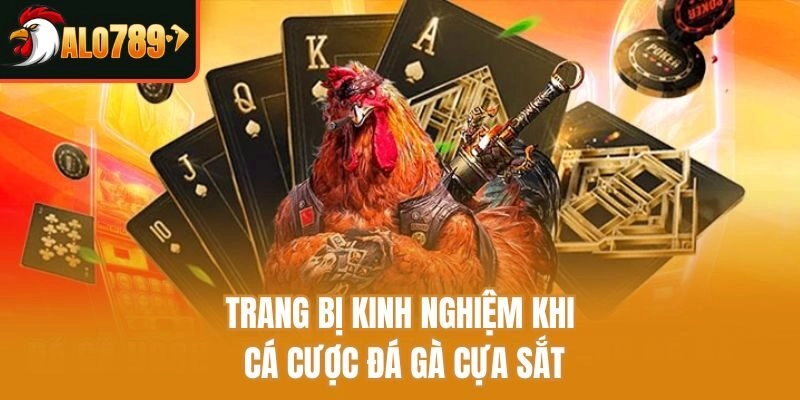 Trang bị kinh nghiệm khi cá cược đá gà cựa sắt